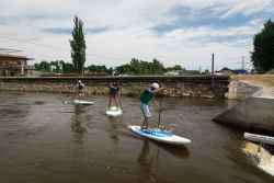 2015-08-01 mcr sup web 07